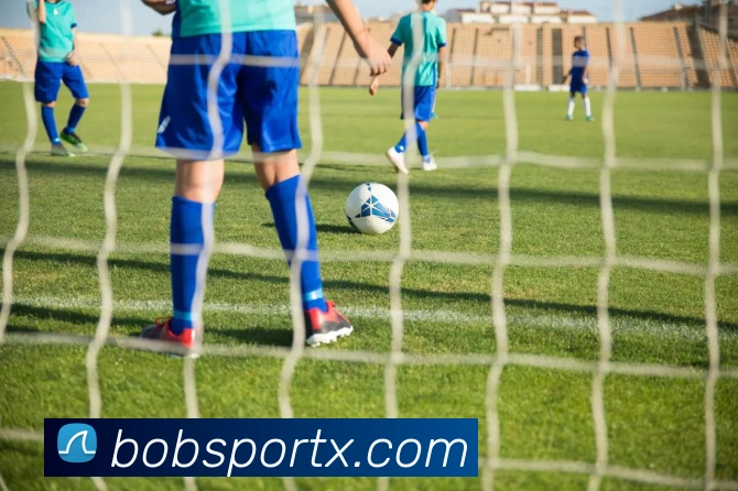 BOB体育平台生态图