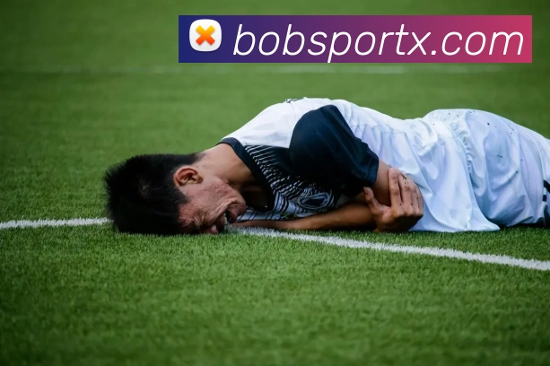 BOB体育APP 封面图